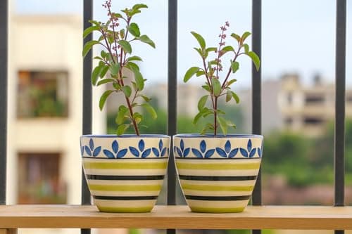 Lemon Leaf Ceramic Plant pots Set of 2 Flower Pot for Herbs Garden Terrace Window gamala with Drainage Hole Handmade Planter Balcony Ideal for Office Home Decor and Gifting. - 3
