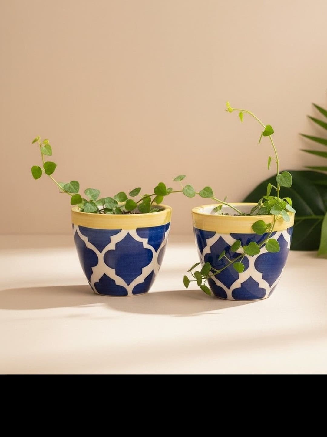 Blue Umrao Ceramic Plant pots Set of 2 Flower Pot for Herbs Garden Terrace Window gamala with Drainage Hole Handmade Planter Balcony Ideal for Office Home Decor and Gifting.
