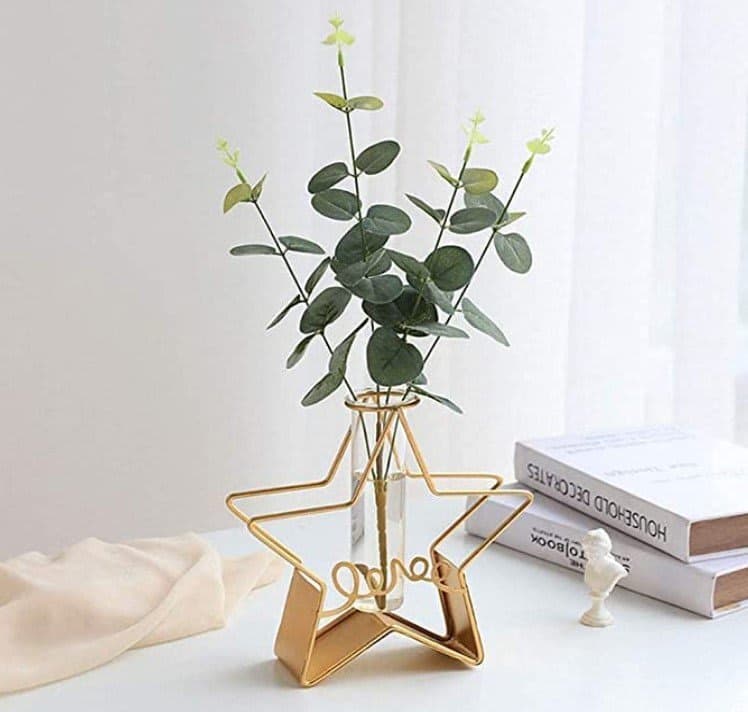 HS HINDUSTANI SAUDAGAR Pentagonal Hydroponic Glass Tube Metal Vase for Small Plants