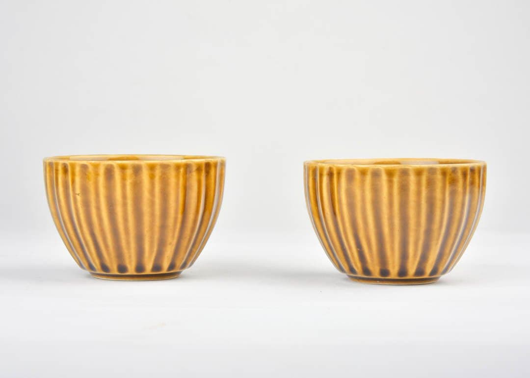 HS HINDUSTANI SAUDAGAR Ceramic Bowl - 275ml, Set of 2, Mustard