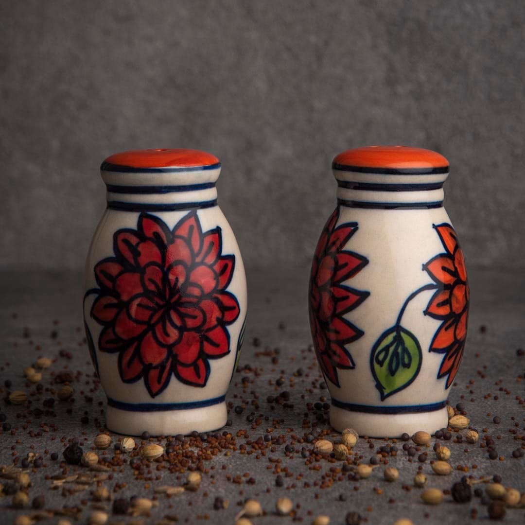 HS HINDUSTANI SAUDAGAR Ceramic Handpainted Salt & Pepper Dispenser Set (White)